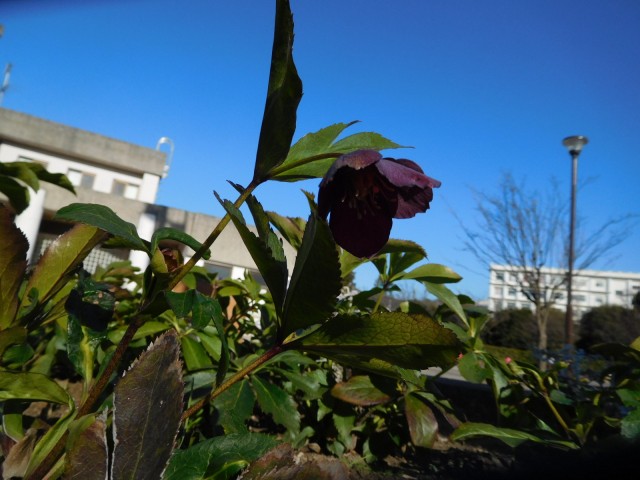 blog_160210_3