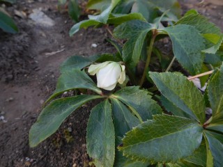 blog_160210_4
