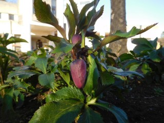 blog_160210_5