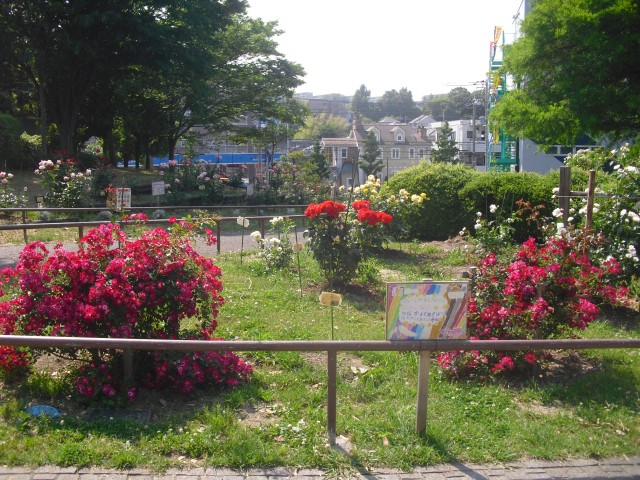 blog_160229-1
