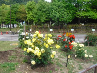 blog_160229-3
