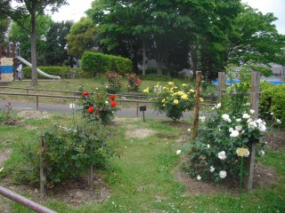 blog_160229-4
