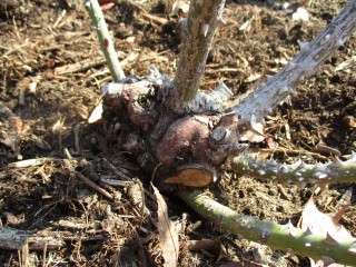 blog_160229-5