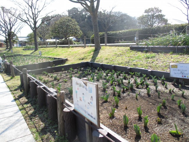 blog_160315-1