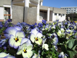 blog_160315-3