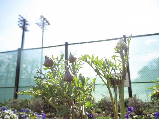 blog_160315-5