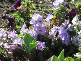 blog_160315-6