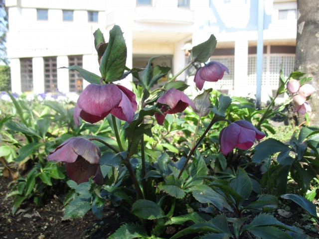 blog_160315-7