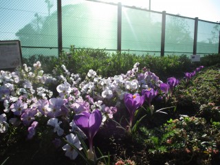 blog_160322-1