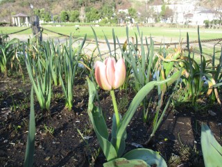 blog_160322-5
