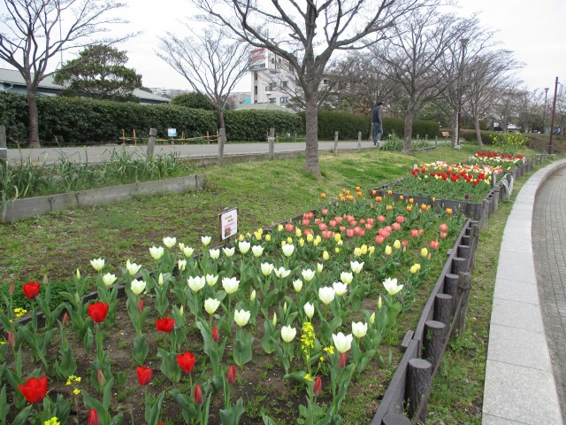 blog_160401-1