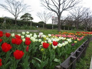 blog_160404-2