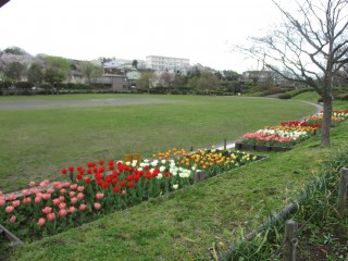 blog_160404-3