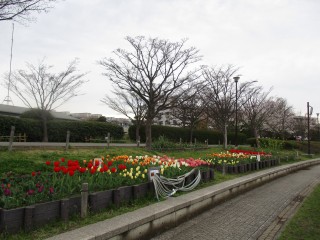 blog_160404-4
