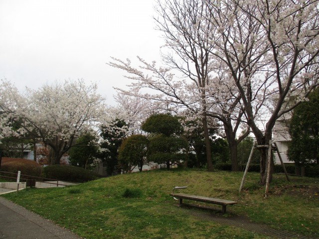 blog_160404-5