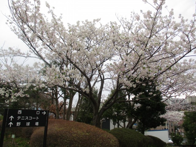 blog_160404-6