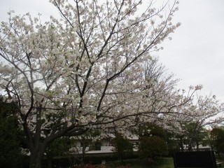 blog_160404-7