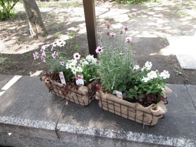 blog_160502-5