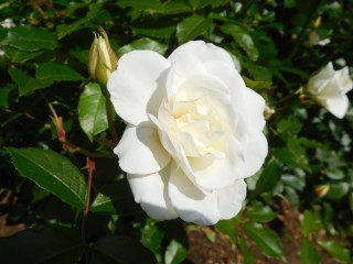 blog_160507-10
