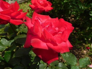blog_160507-2