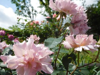 blog_160507-3