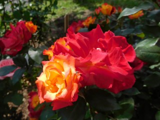 blog_160507-4