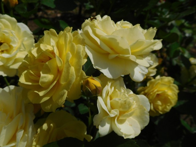 blog_160507-6