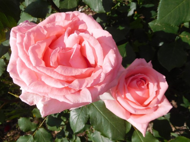 blog_160507-7