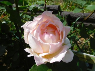 blog_160507-8