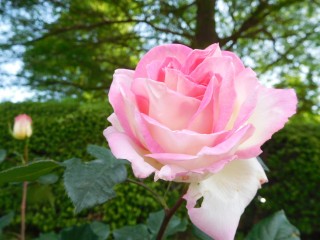 blog_160507-9