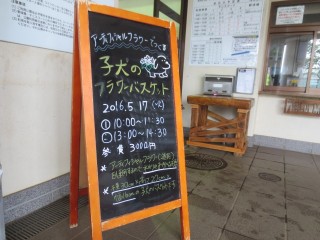 blog_160517-1