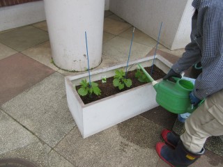 blog_160523-2