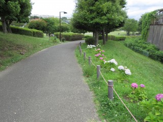 blog_160618-3
