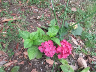 blog_160618-4