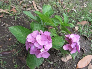 blog_160618-5