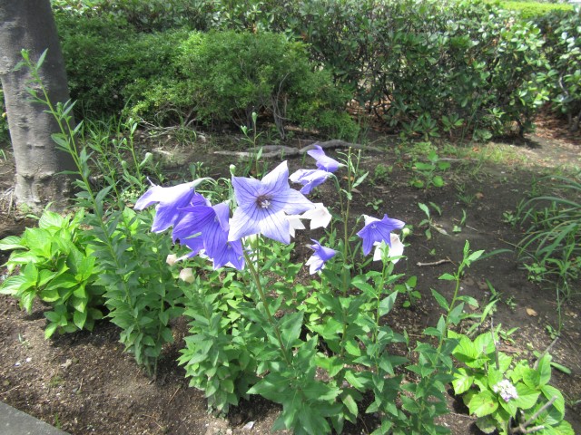 blog_160618-6