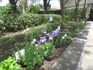 blog_160618-7