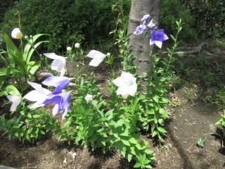 blog_160618-8