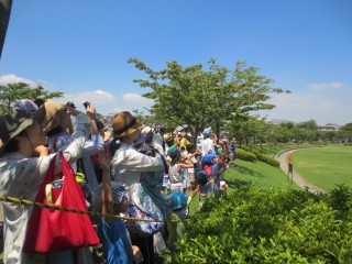 blog_160803-6