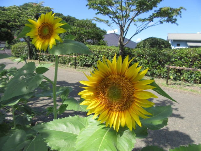 blog_160818-1
