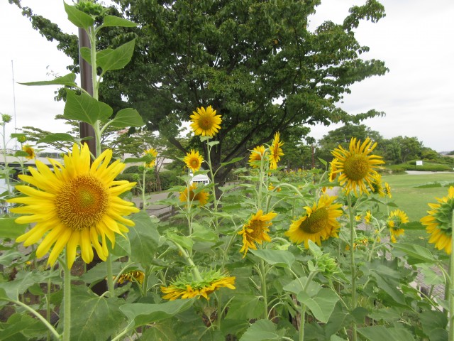 blog_160818-2