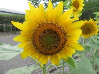 blog_160818-4
