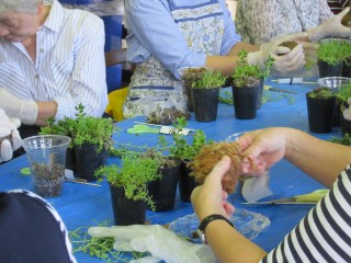 blog_161004-3