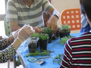 blog_161004-5
