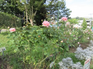 blog_161012-1