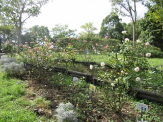 blog_161012-3