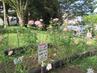 blog_161012-5