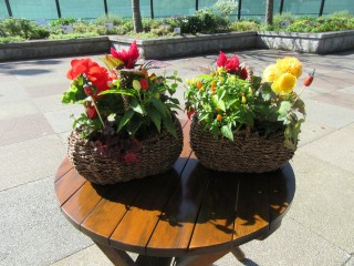 blog_161031-8