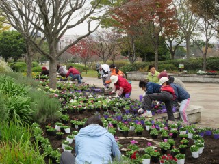 blog_161119-1