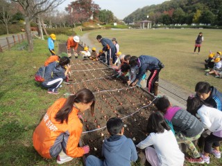 blog_161125-3